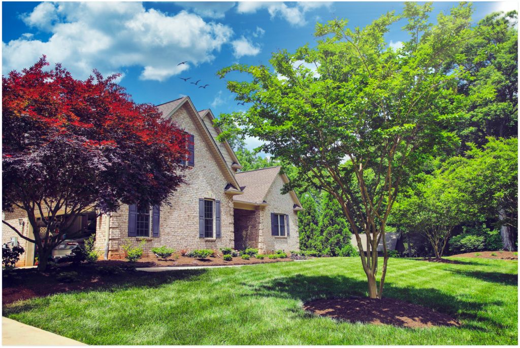 landscape_design_hero_image | Moser Landscaping and Lawn Management in ...